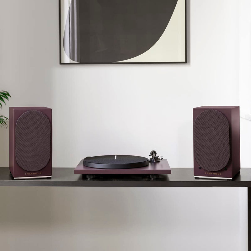 Triangle AIO TWIN Wireless Speakers – Purple