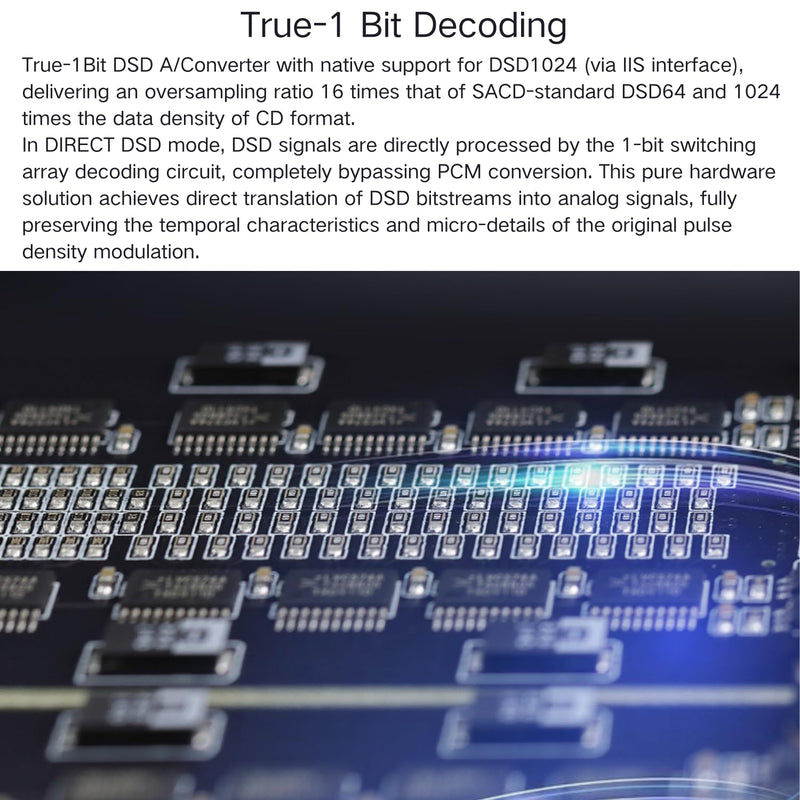 Gustard R30 R2R DAC | DSD512 PCM768kHz | USB, Optical, Coaxial, IIS, AES, LAN Input | Fully Discrete Balanced Digital-Analog Converter | Home Audio Network Streaming Decoder (Black)