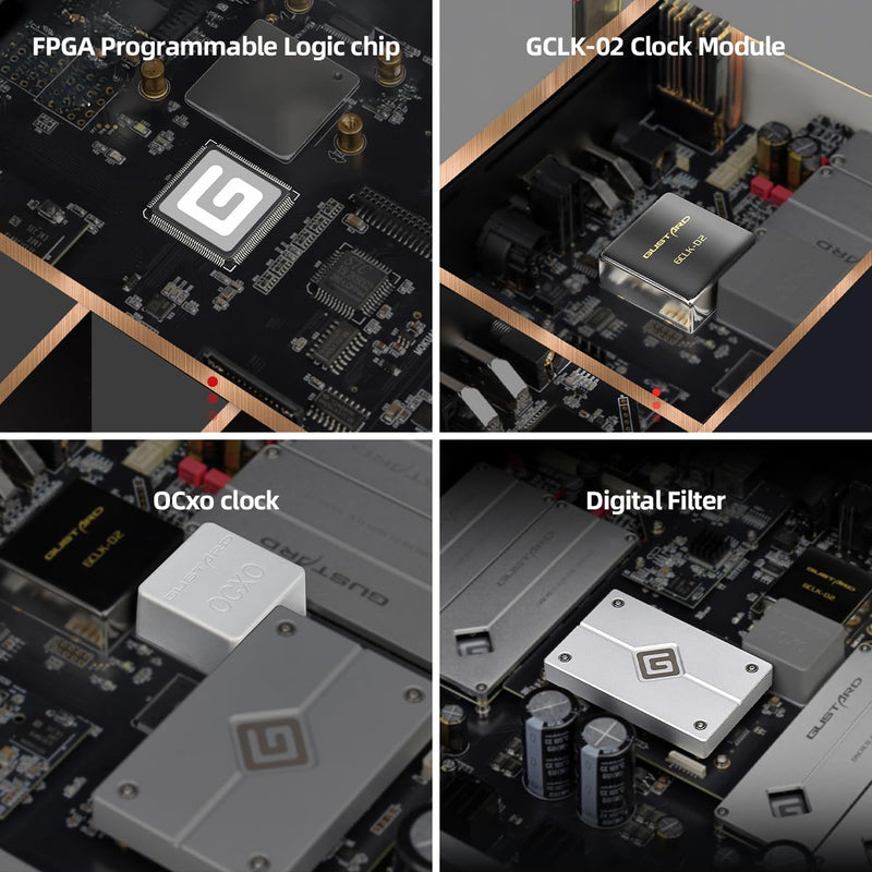 Gustard R30 R2R DAC | DSD512 PCM768kHz | USB, Optical, Coaxial, IIS, AES, LAN Input | Fully Discrete Balanced Digital-Analog Converter | Home Audio Network Streaming Decoder (Black)